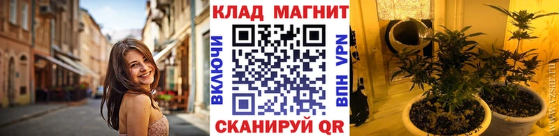 Наркота Шумиха Alpha-PVP  Мефедрон  Амфетамин  ГАШ 