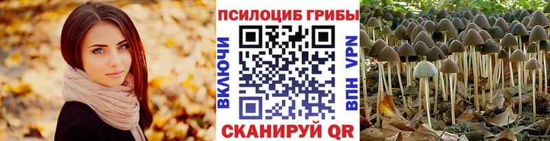 дарнет шоп  Шумиха  Галлюциногенные грибы Psilocybine cubensis 